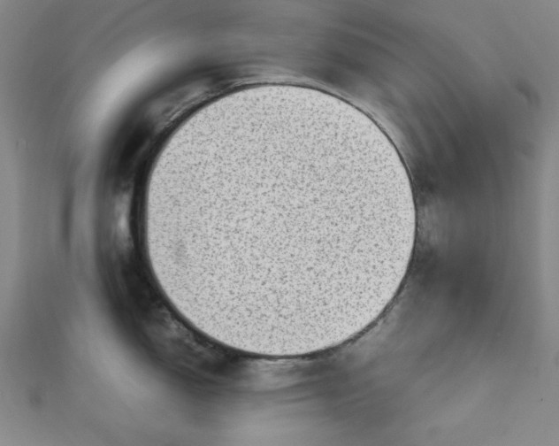 X0000112731150200909031439