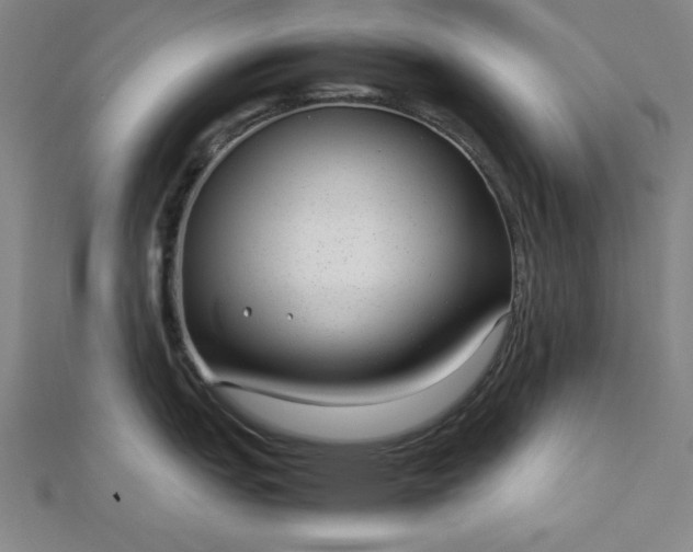 X0000112731151200909031439