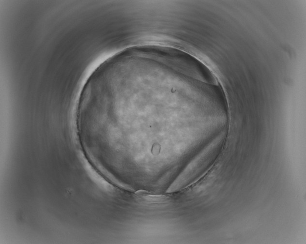 X0000112731152200909031439