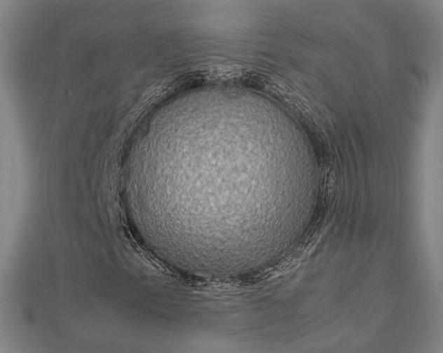 X0000112731153200909031438