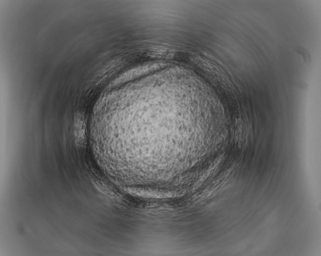 X0000112731154200909031438