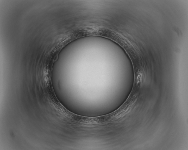 X0000112731156200909031438