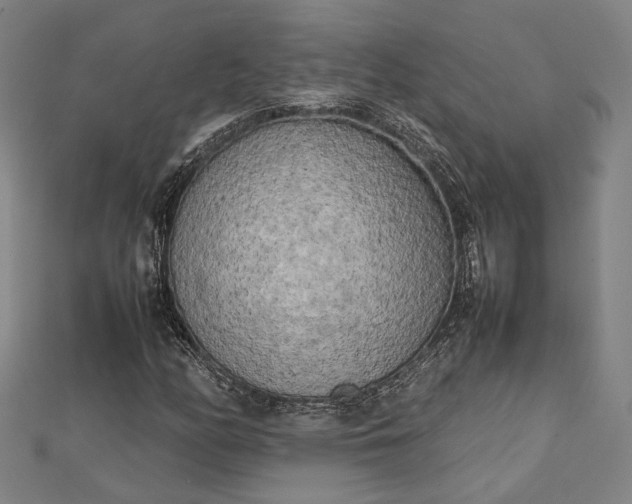 X0000112731158200909031438