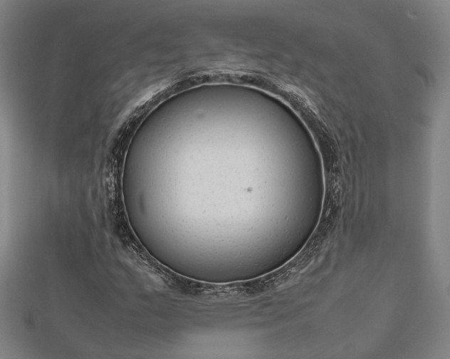 X0000112731159200909031438