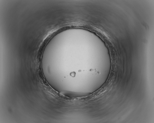 X0000112731160200909031438