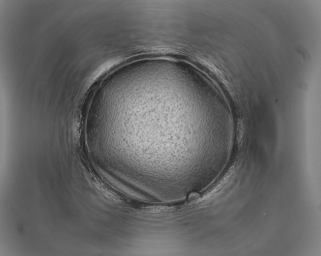 X0000112731163200909031438