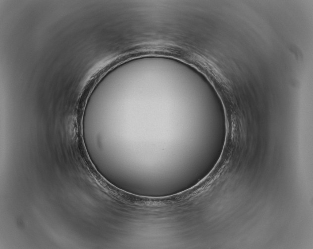 X0000112731164200909031438