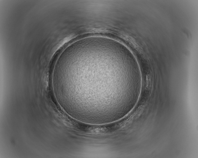 X0000112731165200909031438