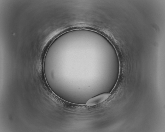 X0000112731167200909031438