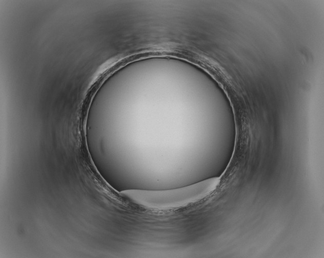 X0000112731168200909031438