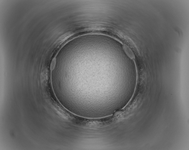 X0000112731169200909031438