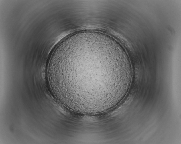 X0000112731170200909031438