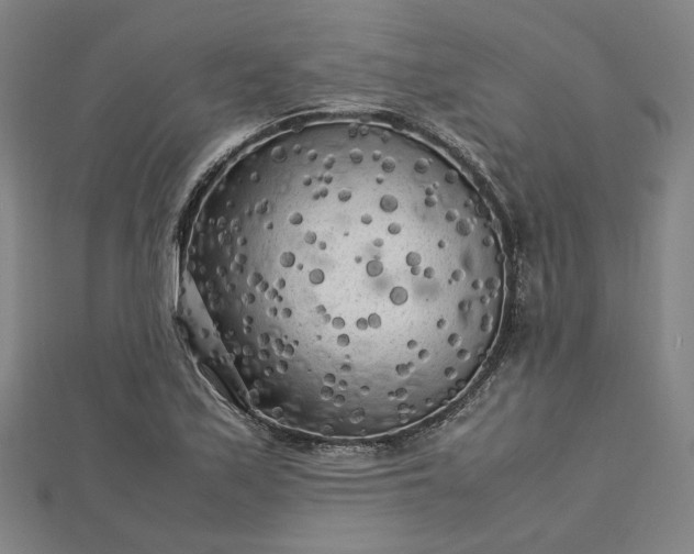 X0000112731171200909031438