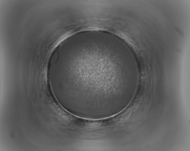 X0000112731173200909031438