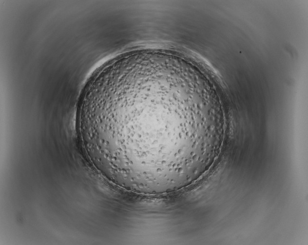 X0000112731174200909031438