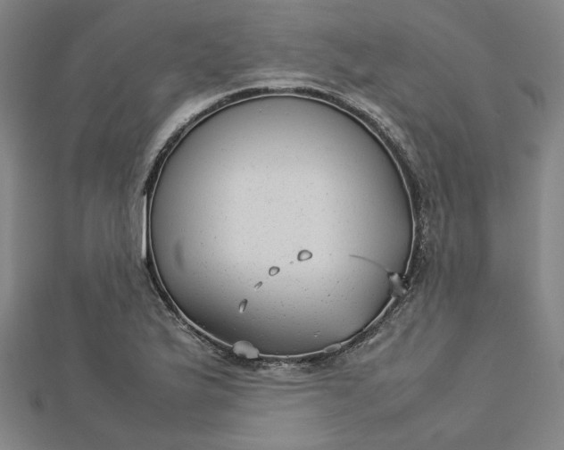 X0000112731175200909031438