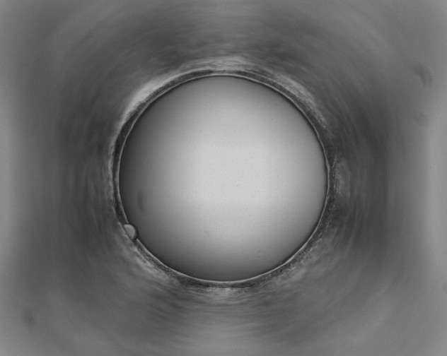 X0000112731176200909031438