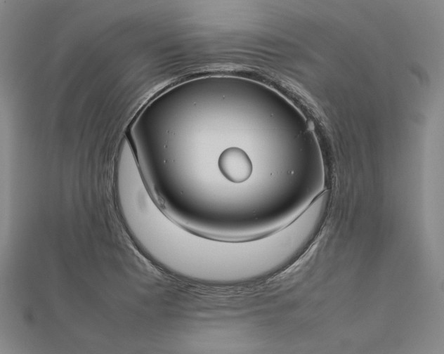 X0000112731177200909031438