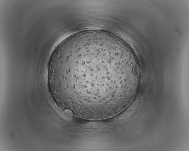 X0000112731179200909031438