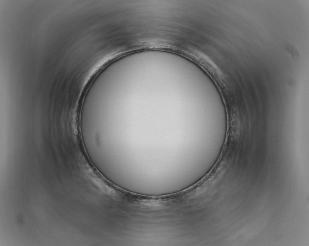 X0000112731182200909031438