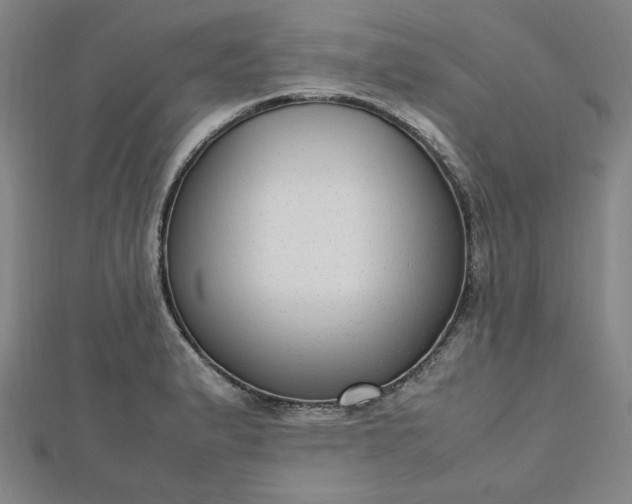 X0000112731183200909031438