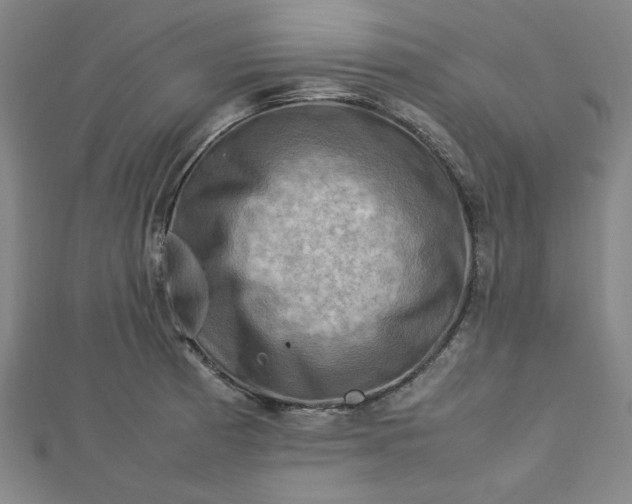 X0000112731185200909031438