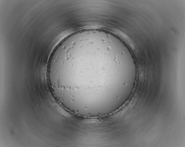 X0000112731186200909031438