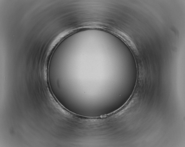 X0000112731188200909031438