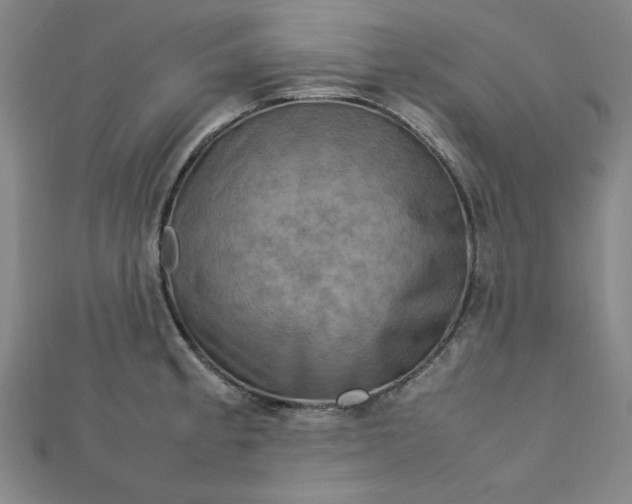 X0000112731189200909031438