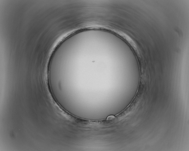 X0000112731191200909031438