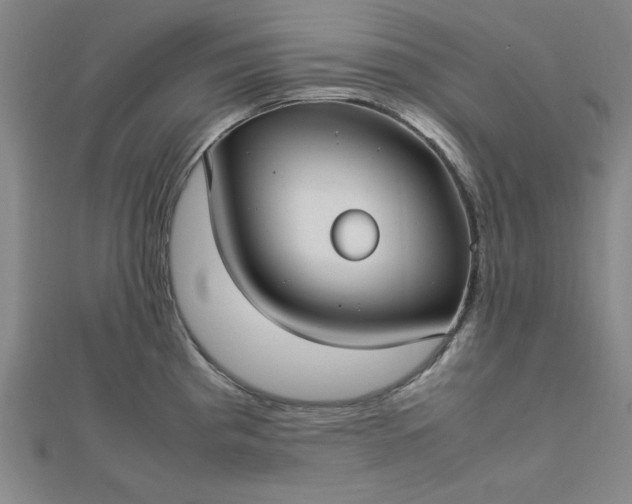 X0000112731193200909031438