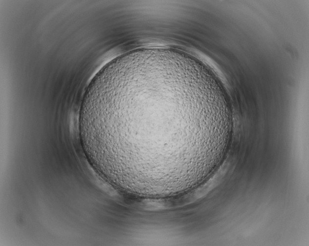 X0000112731194200909031438