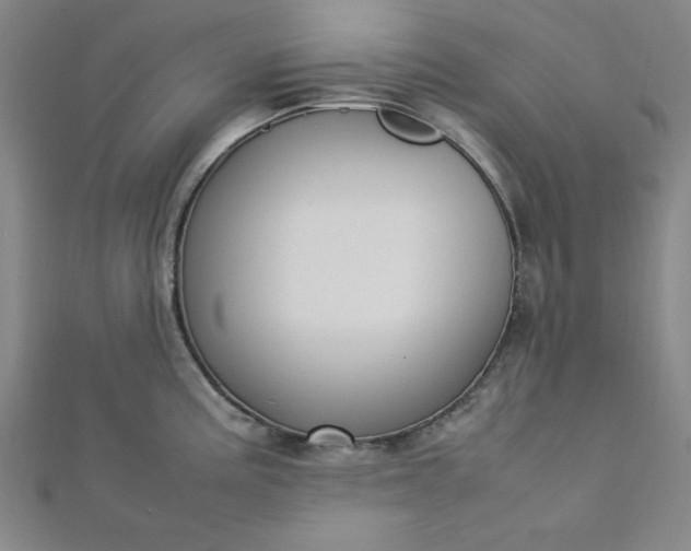 X0000112731195200909031438