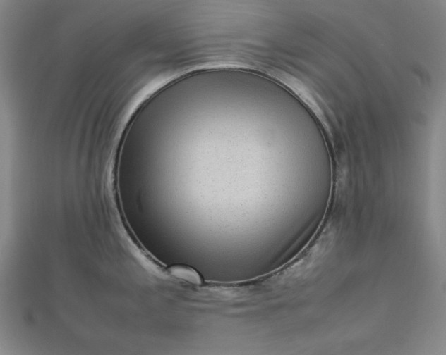 X0000112731197200909031437