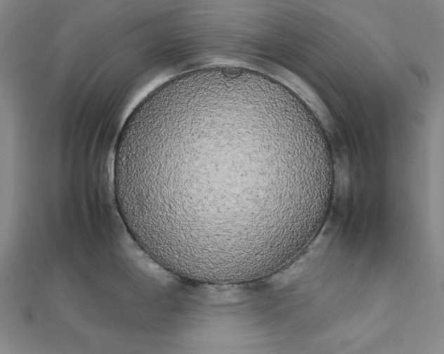 X0000112731198200909031437