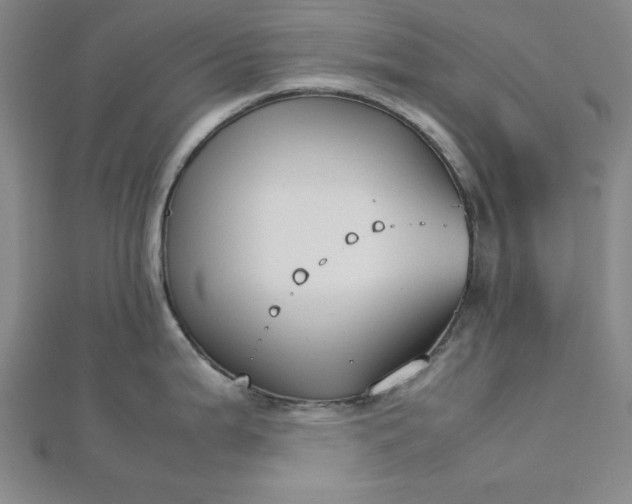 X0000112731199200909031437