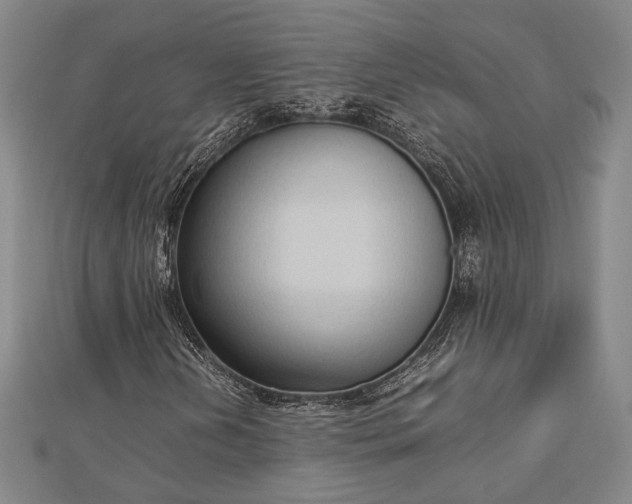 X0000112731202200909031437