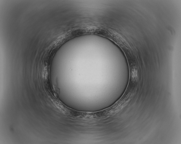 X0000112731204200909031437