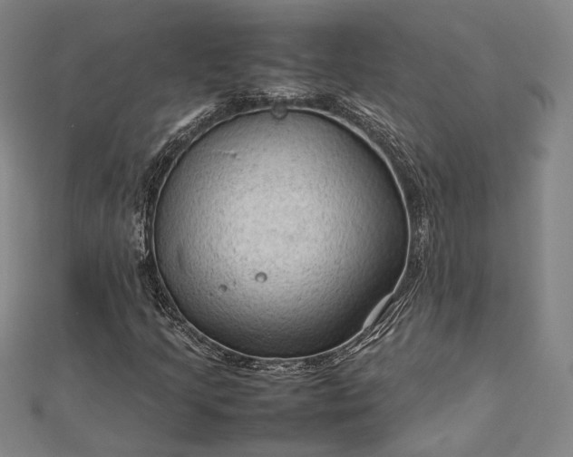 X0000112731205200909031437