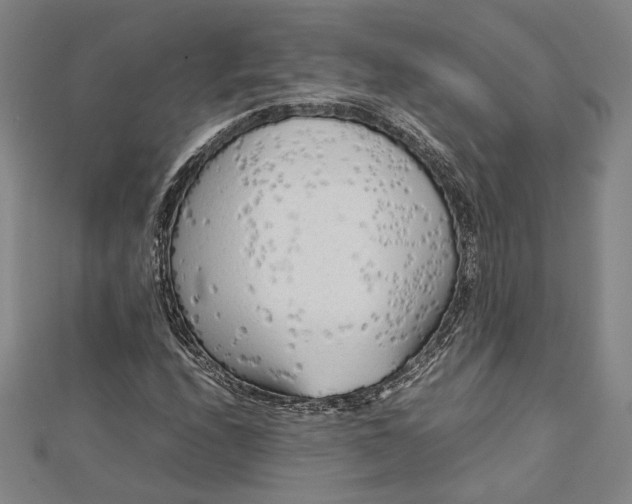 X0000112731208200909031437