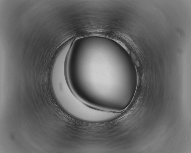 X0000112731209200909031437