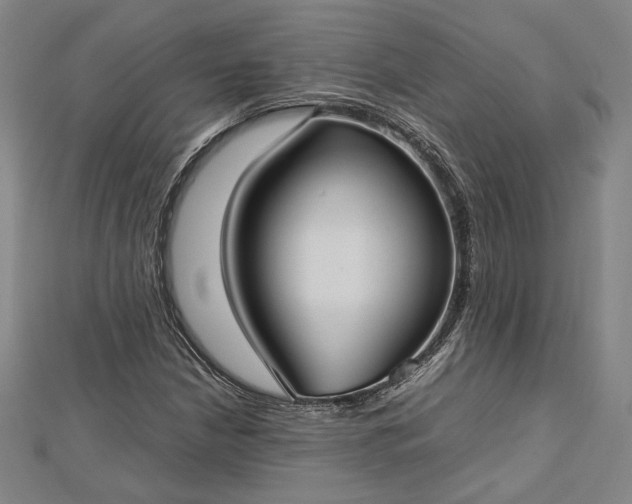 X0000112731210200909031437