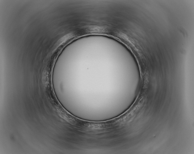 X0000112731211200909031437