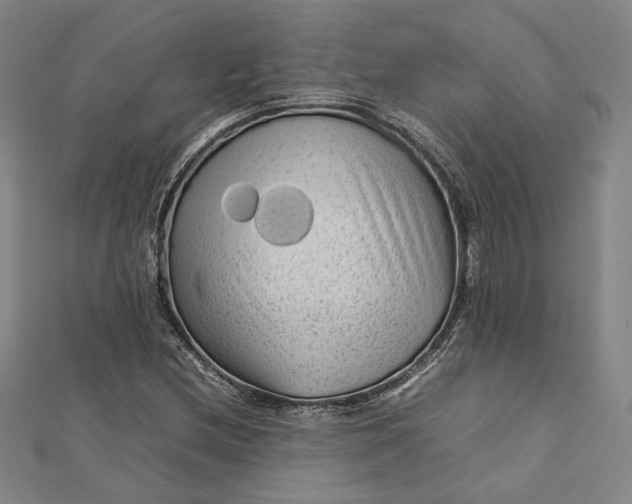 X0000112731212200909031437