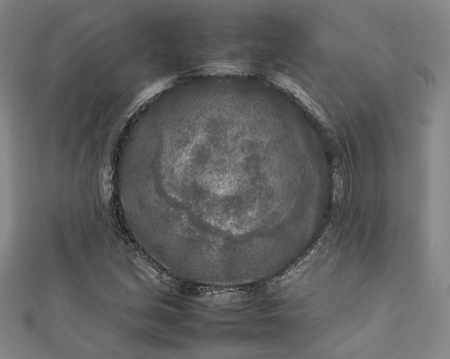 X0000112731213200909031437