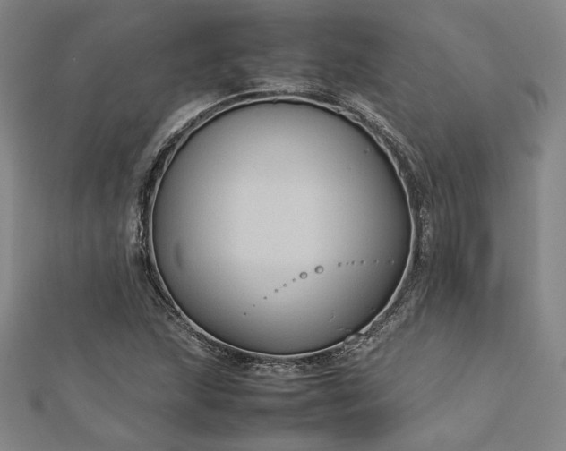 X0000112731215200909031437