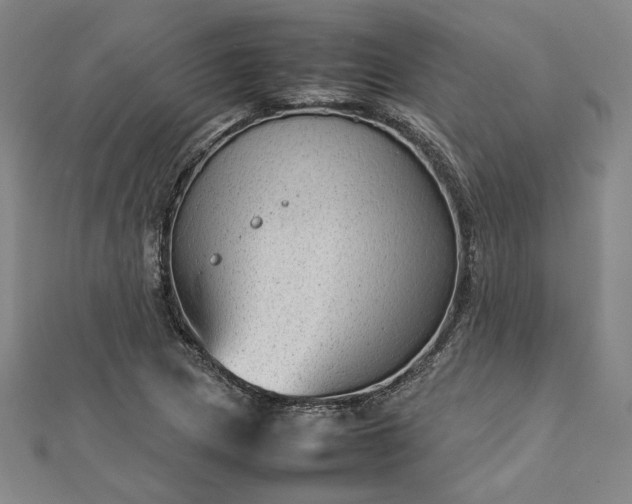 X0000112731217200909031437