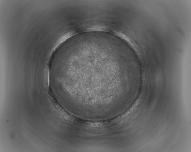 X0000112731219200909031437