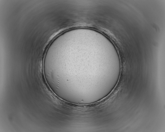 X0000112731220200909031437