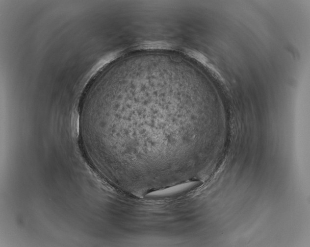 X0000112731221200909031437